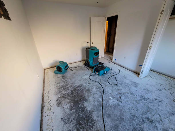 Best Water damage contractors near me  in Pomona, CA