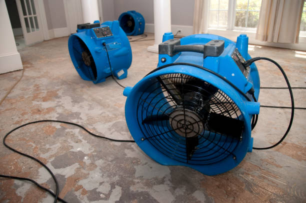 Best Mold removal after water damage  in Pomona, CA