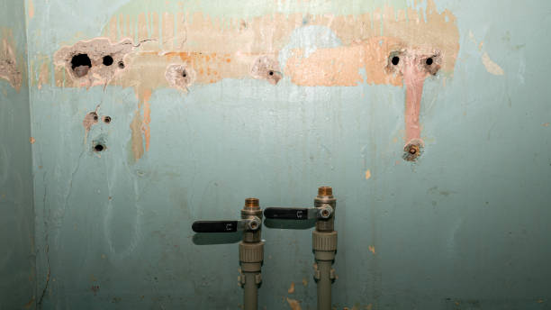 Best Professional water damage repair  in Pomona, CA